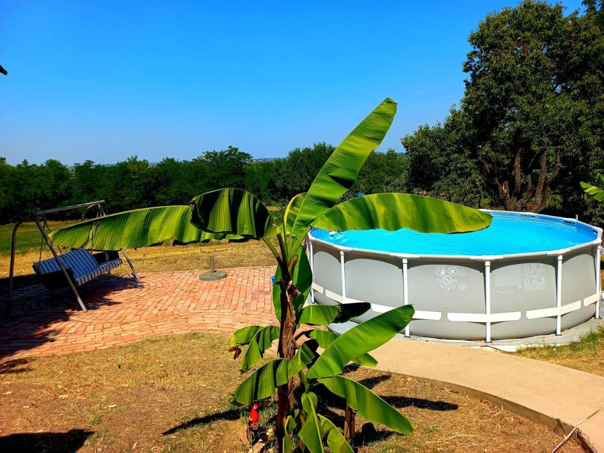 Honey Hill Apartment Fruska Gora Cerevic Ngoại thất bức ảnh