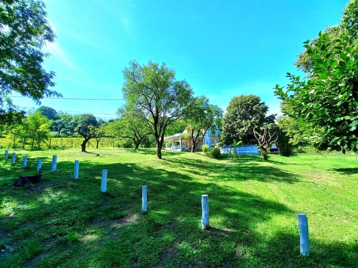 Honey Hill Apartment Fruska Gora Cerevic Ngoại thất bức ảnh