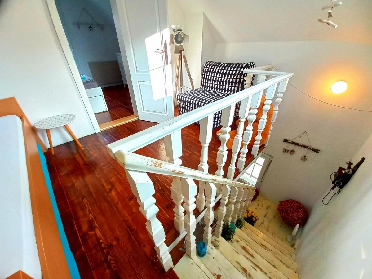 Honey Hill Apartment Fruska Gora Cerevic Ngoại thất bức ảnh